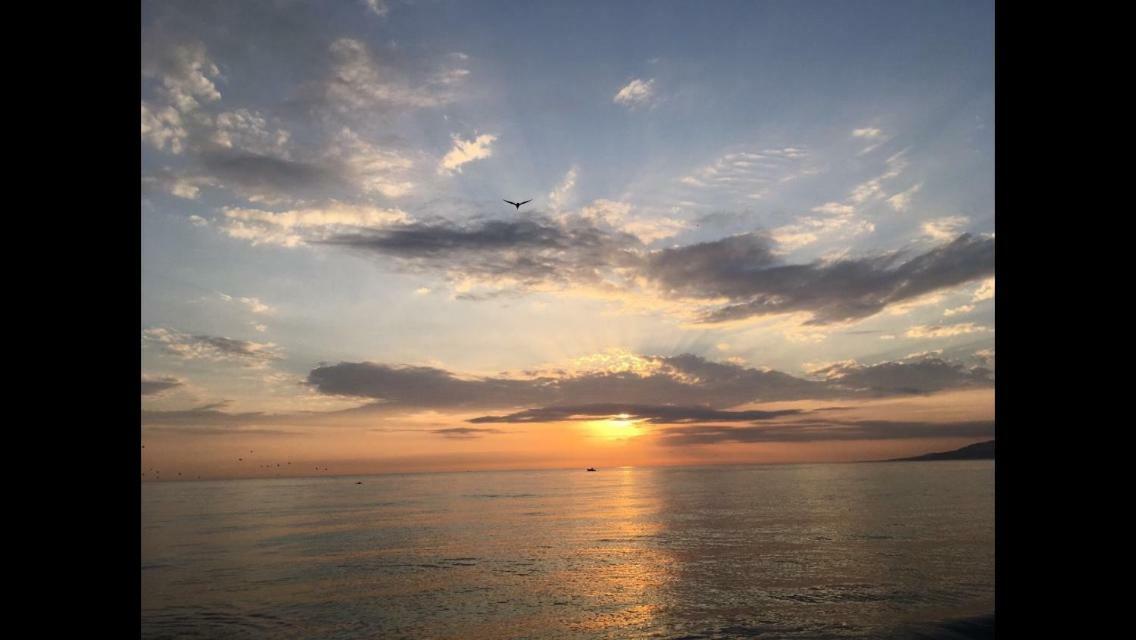 Beach Apartment Garden And Wifi タリファ エクステリア 写真